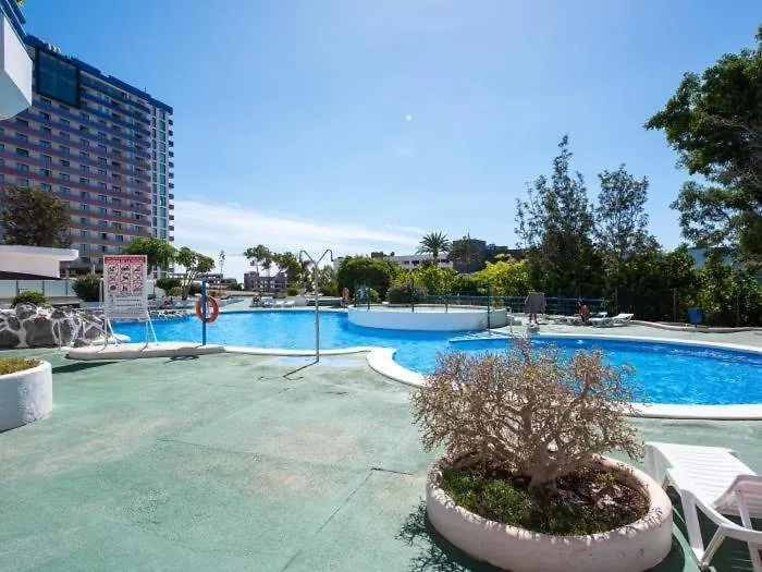 1316 Ocean View Studio Paraiso Playa Paraiso  Apartment